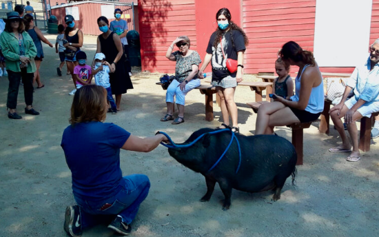 Hart Park barnyard + brunch